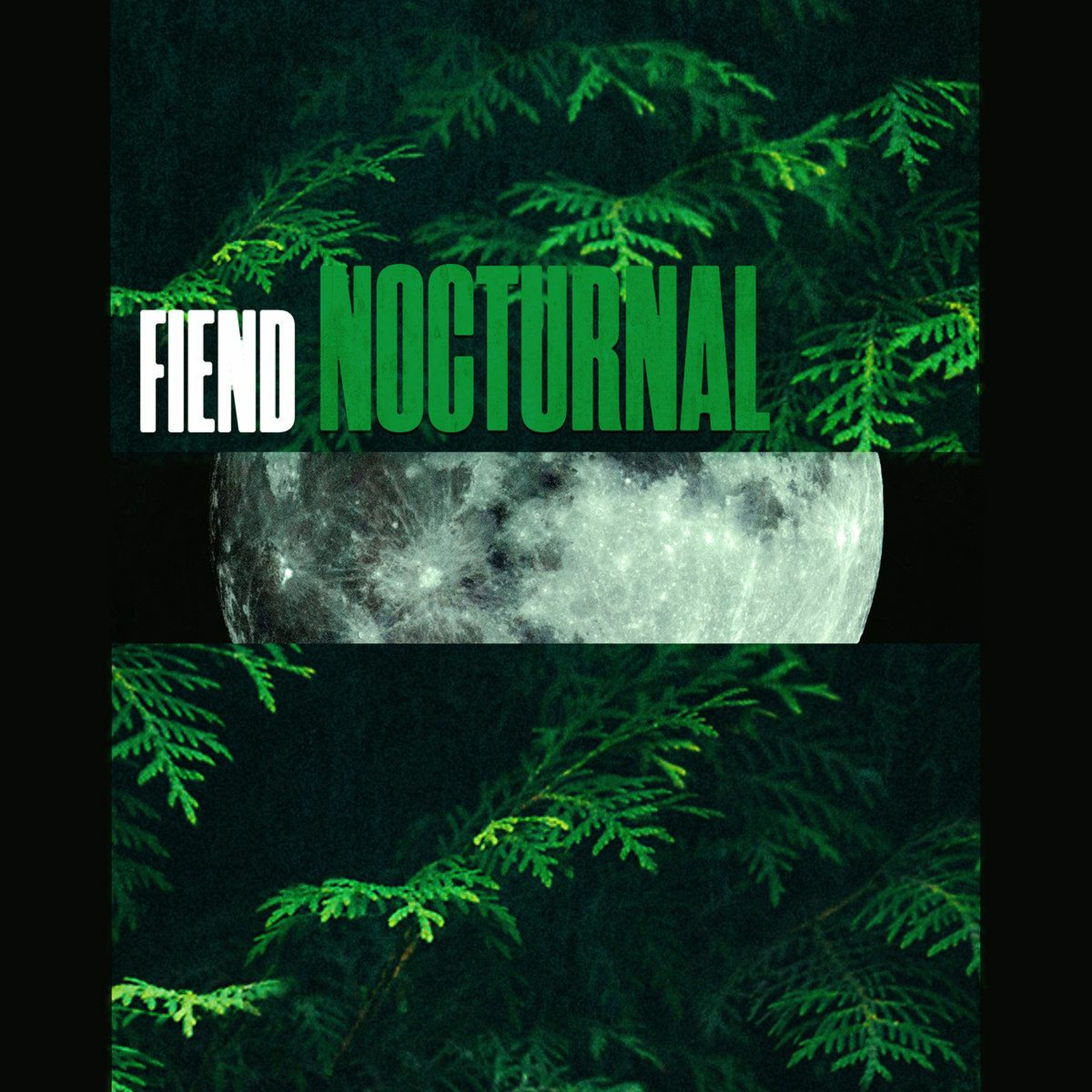Fiend - Nocturnal (Bandcamp) [FKOF Promo] episode artwork