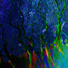 ALT J - INTRO (SHARK REMIX)