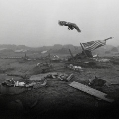 Vultures