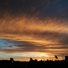 Appreciation (LeRoyale).mp3