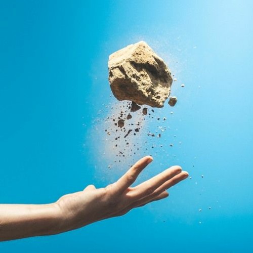 Will (September 2020)