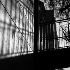 calvin's joint - mac ayres (cover)