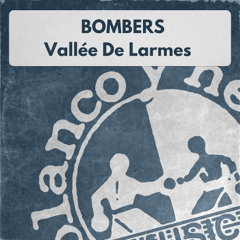 Dj Karol Plays  -Vallee De Larmes (Bomber)