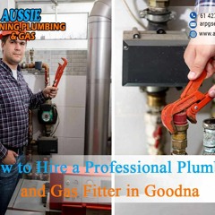 How To Hire A Professional Plumber And Gas Fitter In Goodna.