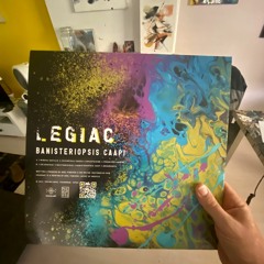 Epicatechine by Legiac