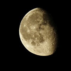 Night C(r)a(w)l(l)er