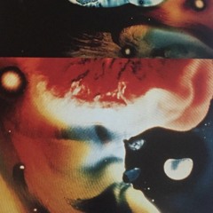 I'M FUCKING TIRED FT STEVE