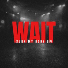 WAIT (TURN MY BODY UP)