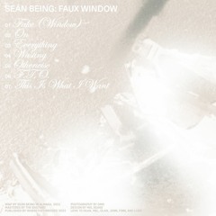 Sean Being - Everything (FAUX WINDOW album OUT NOW)