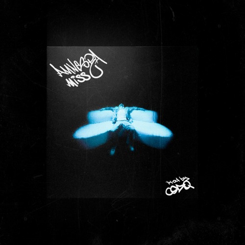 Missu - Amnesia (prod.by CODQ)
