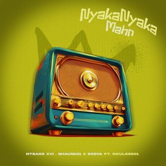 Nyakanyaka Man (feat. Nkulee501)