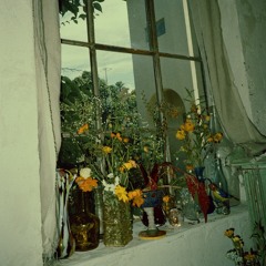 ENHYPEN - 'ORANGE BLOOD' Concept Trailer End Credit