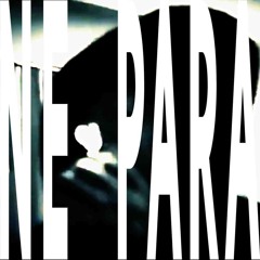 NE PARA (prod. blxme)