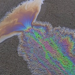 Wild Sdws -1991cosmoyasher