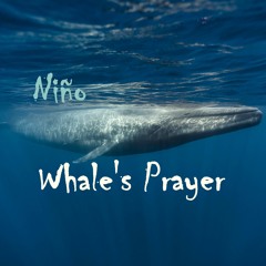 Whale's Prayer