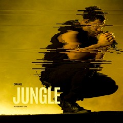M.I.$.T. Ft. Drake || Jungle || REMIX