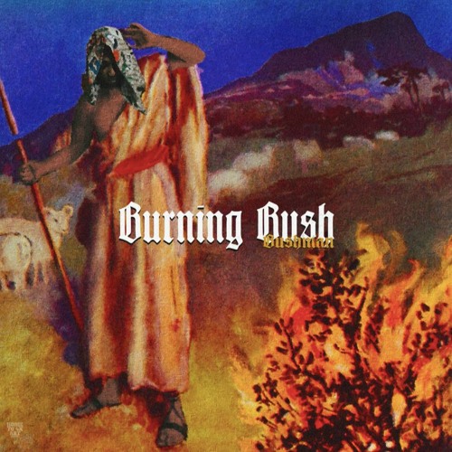 Dr. Bushman - Matter Of Fact