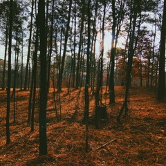 fall vibes [prod. zach sutton]