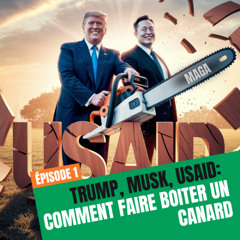 Trump, Musk et USaid; comment faire boîter un canard (1/3)