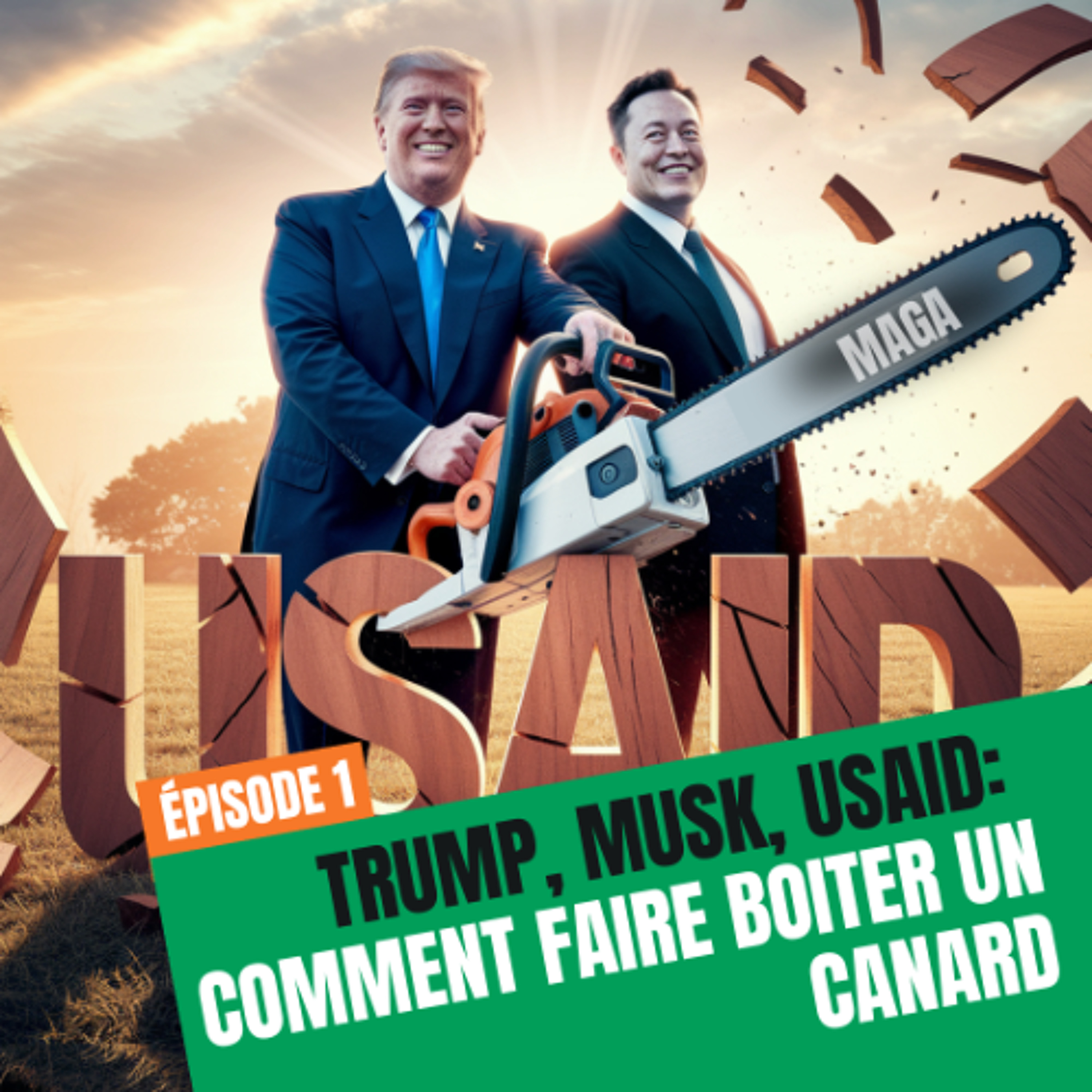 Trump, Musk et USaid; comment faire boîter un canard (1/3) episode artwork