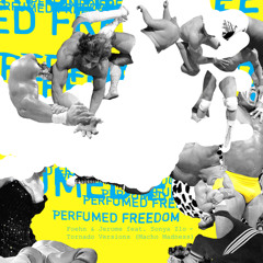 Foehn & Jerome feat Sonya Zlo - Tornado T3