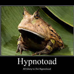The Notoribious Groß  - Hypnutte