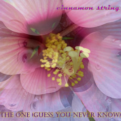 The One (Guess You Never Know)