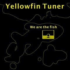 We Are the Fish