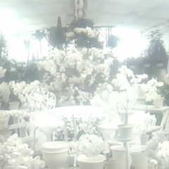 Room of White