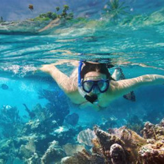 Best Snorkeling Resorts In Cozumel Prices Reviews