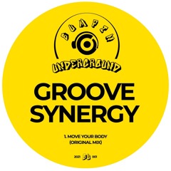 Groove Synergy - Move Your Body
