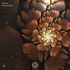 Destiny of Beirut [Sounds and Frequencies Recordings]
