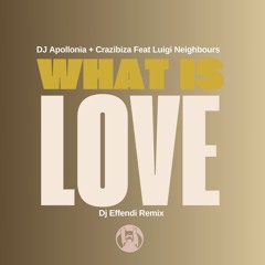 What Is Love (Dj Effendi Radio Mix) [feat. Luigi Neighbours]