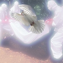 drugs in me (shinju + cozin)