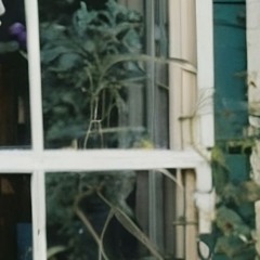 Worriedsick - Asleep with the window open