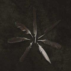 Separation No. 2