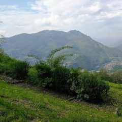 Pensieri e parole - Battisti - Cover - Sonia