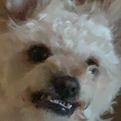 ddg x tory lanez - she make it clap (freestyle)