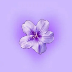 violet