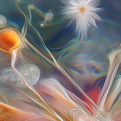 HALLOWEEN 2025 - WARM UP - BASSHALL