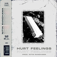 Hurt Feelings (Prod. Nitin Randhawa)