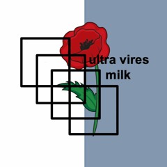 milk - the1975 cover