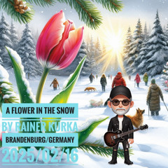 A Flower In The Snow