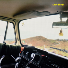Little Things
