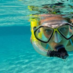 Review Special Price Reef Snorkel & Ocean Paddle Adventure In Fort Lauderdale Beach