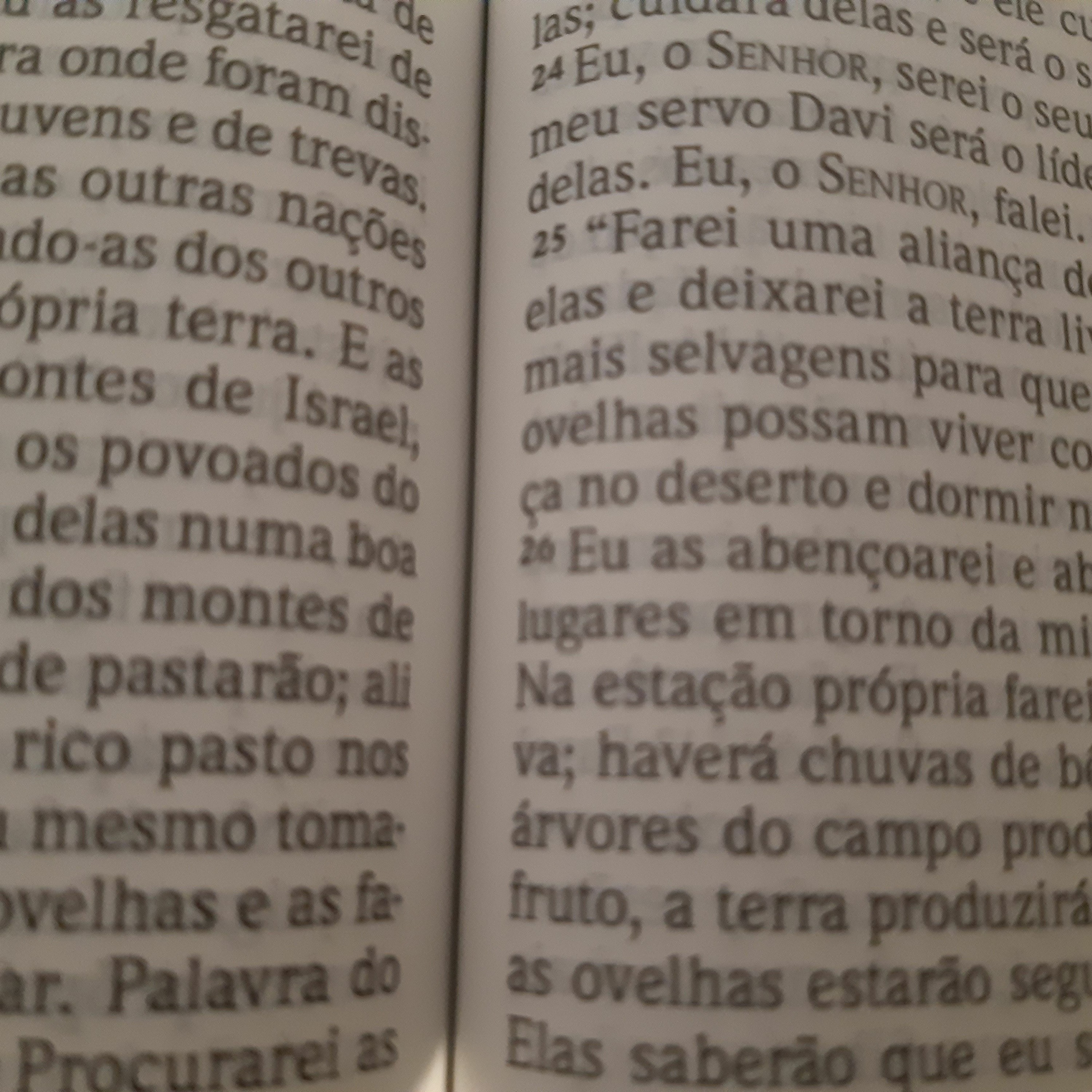 Espada de dois gumes