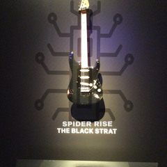 spider rise