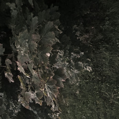 No one seems to care