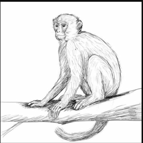 Soul of Monkey 🐵   ( Jae Ordon . Prod pb )