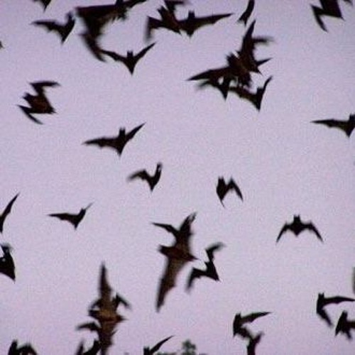 $UICIDEBOY$ X RAMIREZ X GHOSTMANE - We Are The Devil's Ashtray (EDIT)